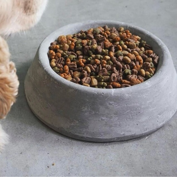 Handmade Concrete non slip dog bowl for dogs or cats - pets bowls - Picture 3 of 4